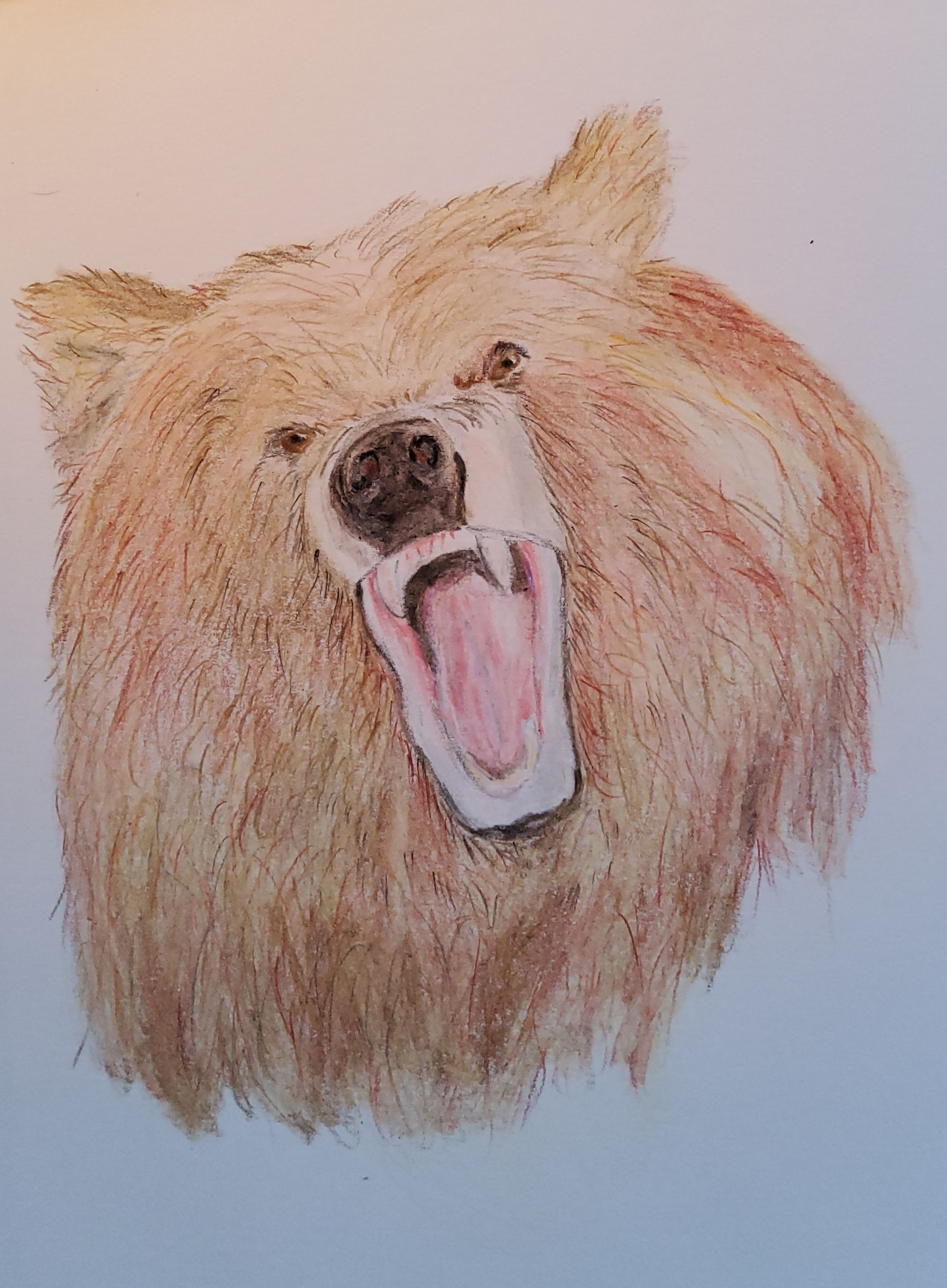 Trying Out Colored Pencils